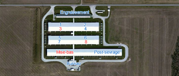 Elevage de 6.000 cerdas dans l'Indiana avec multiplication interne