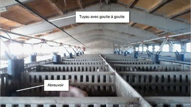 Ferme