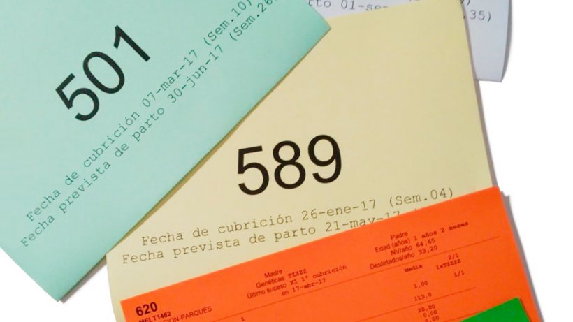 Exemple des couleurs pour les fiches par cycle productif