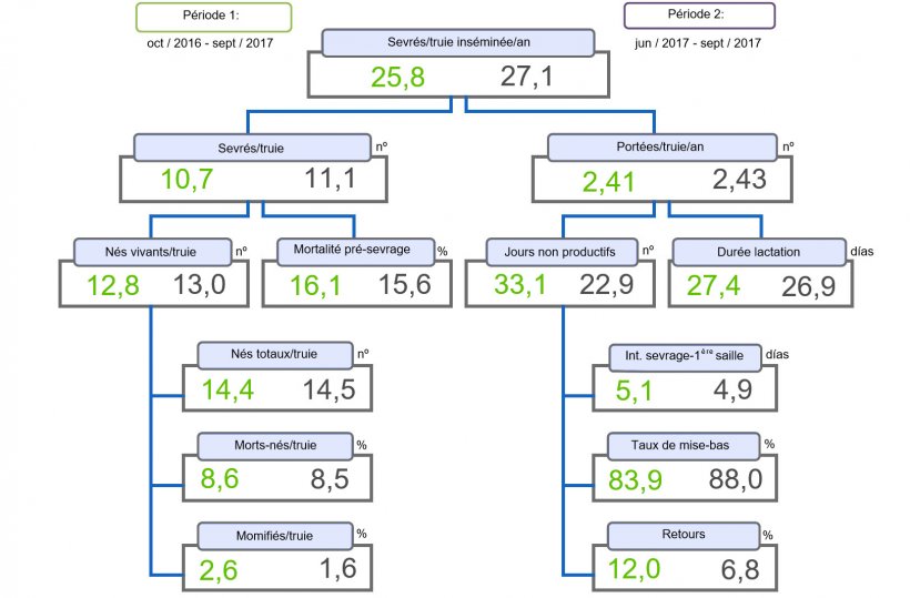 Figure 1. Arbre de productivit&eacute; des porcelets sevr&eacute;s / truie ins&eacute;min&eacute;e et par an compar&eacute;e de deux p&eacute;riodes.
