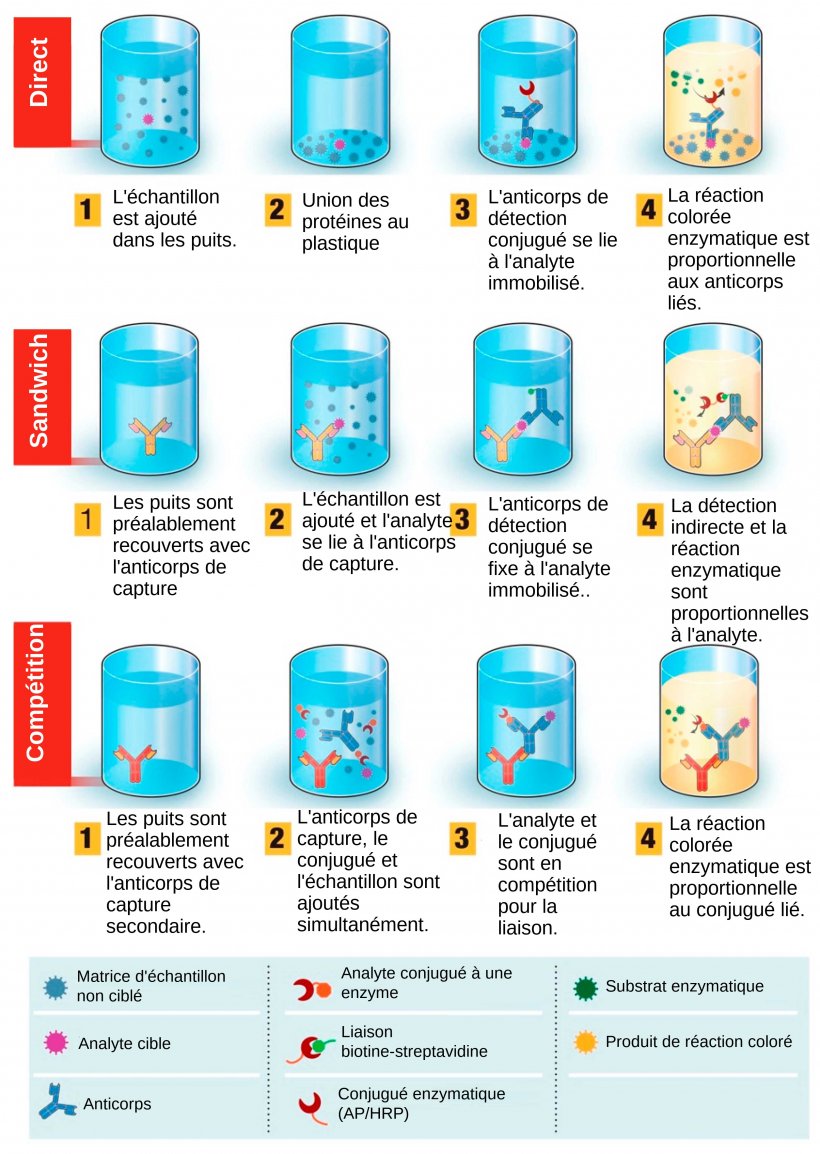 Figure 1 : Vue d'ensemble du test de diagnostic basé sur le test immuno-enzymatique (ELISA). Le test ELISA peut être présenté sous différents formats en fonction des différences d'immobilisation des antigènes et de marquage des anticorps. Dans le test ELISA direct, les antigènes du virus liés à une phase solide en plastique sont détectés par l'ajout d'un anticorps conjugué. Dans le test ELISA sandwich, l'anticorps de capture se lie à la phase solide en plastique. Les antigènes de l'échantillon se lient à l'anticorps de capture et sont ensuite détectés par un second anticorps marqué par une enzyme. Dans le test ELISA compétition, l'antigène viral de l'échantillon est pré-incubé avec l'anticorps primaire, puis ajouté à un puits recouvert d'un anticorps secondaire avec un antigène conjugué à une enzyme qui entre en compétition avec l'antigène de l'échantillon pour se lier à l'anticorps primaire. Plus l'antigène viral est présent dans l'échantillon, moins l'antigène conjugué se fixera et plus le signal sera faible. Source : Adapté de Ghaffari et al. 2020.