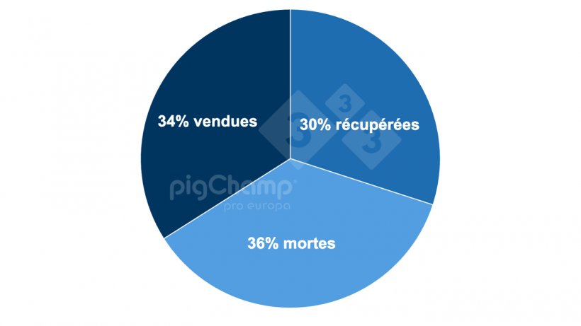 Graphique 2. R&eacute;partition des truies sevrant 0 porcelet par destination ult&eacute;rieure, p&eacute;riode de sevrage 20 juillet - 21 juin.
